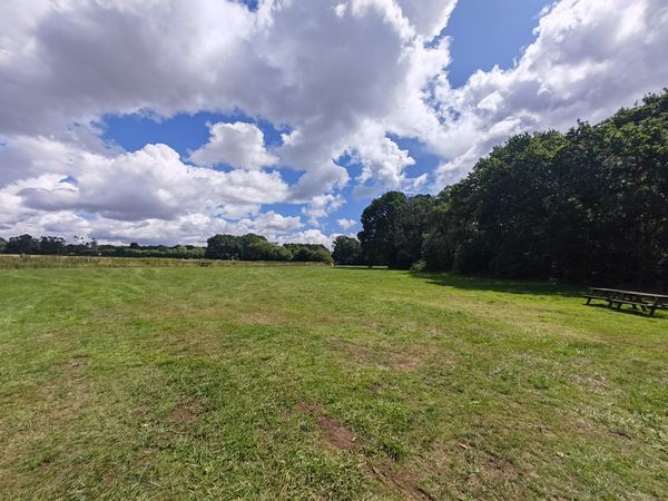 Meadow Tree Farm