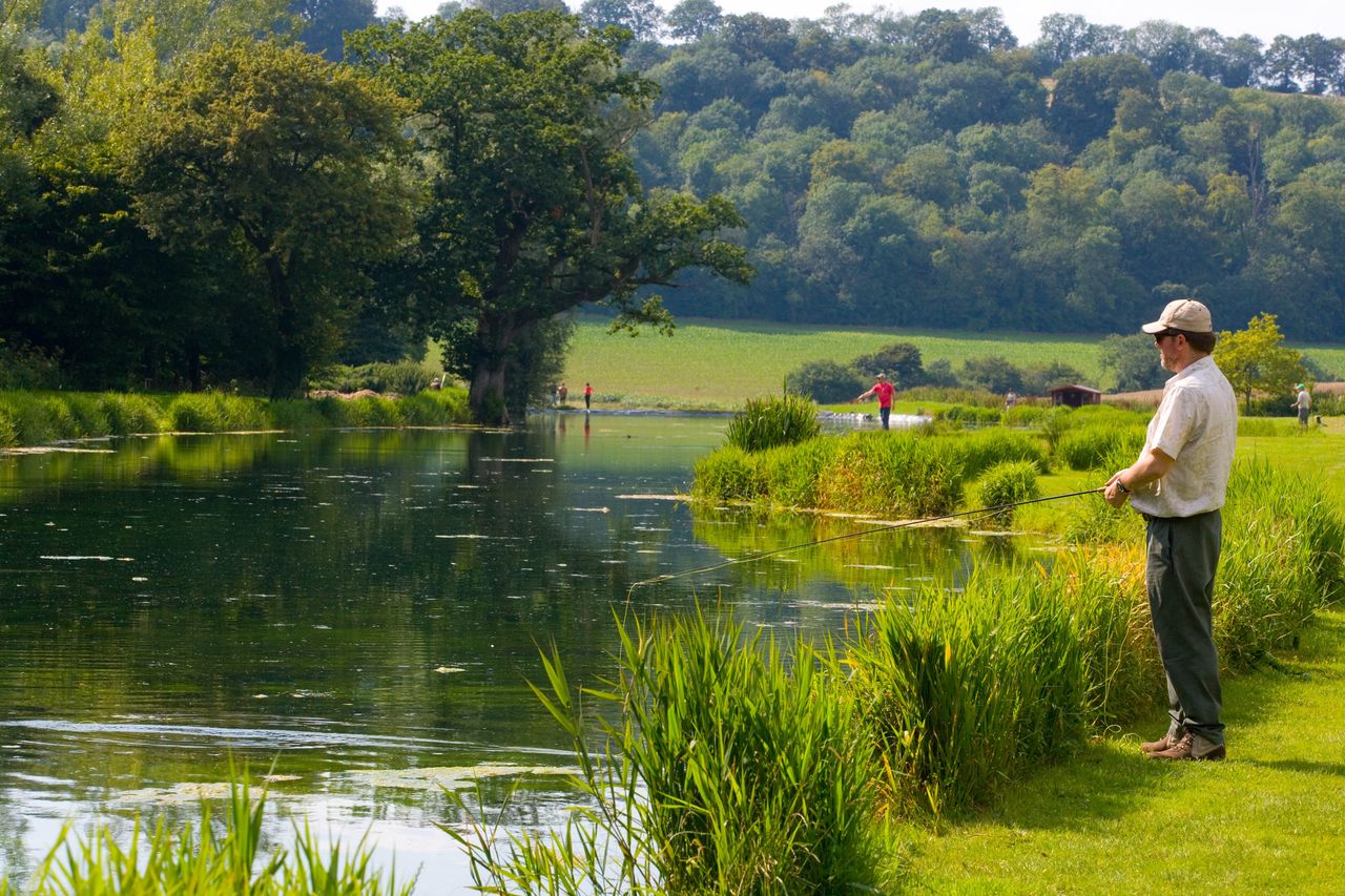 Meon Springs