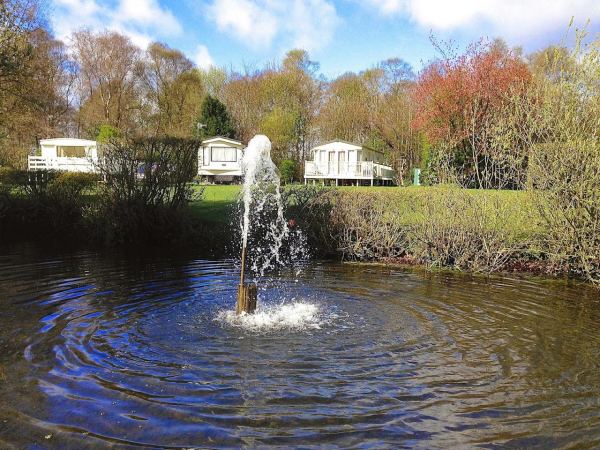 Merry Lees Caravan Park