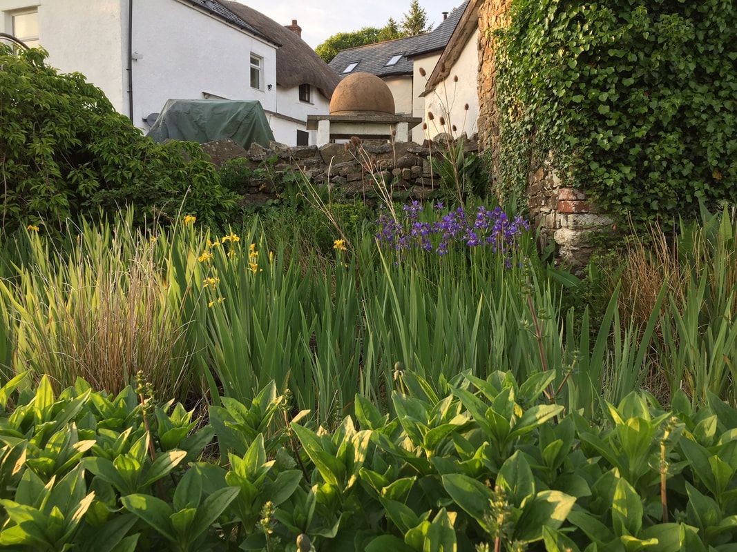 Middle Corscombe Farm