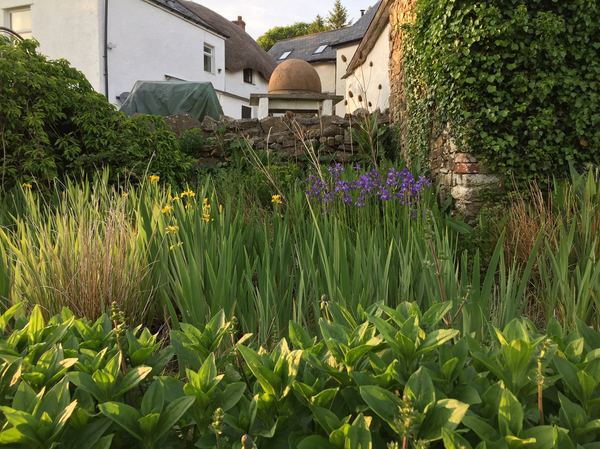Middle Corscombe Farm
