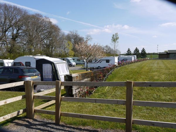Midshires Way Campsite and Alpaca Farm