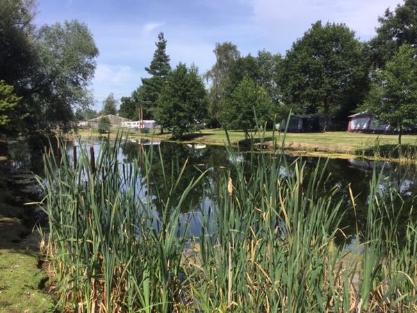 Mill Farm Camping