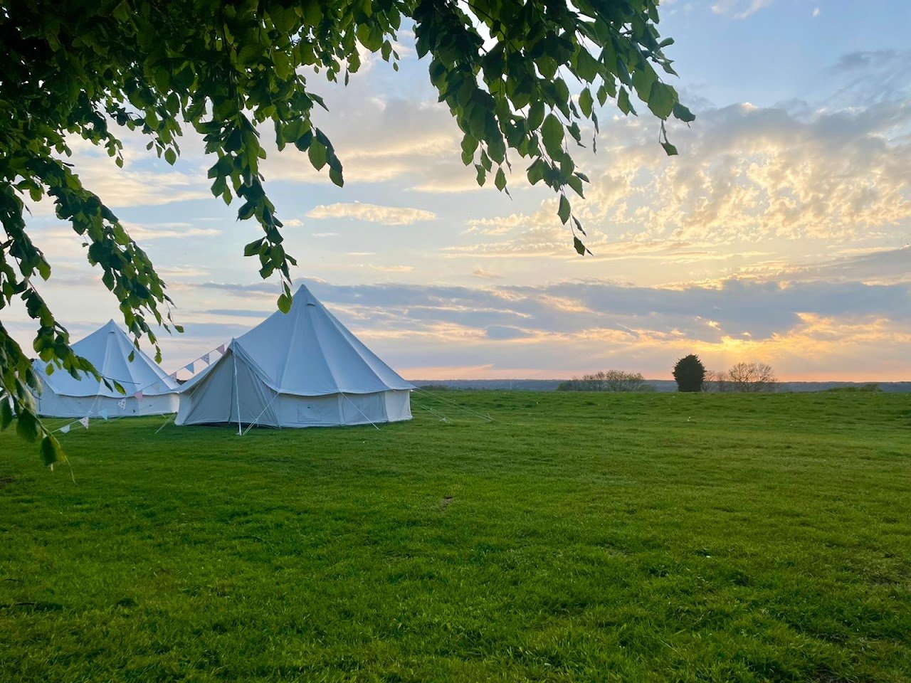 Millview Camping