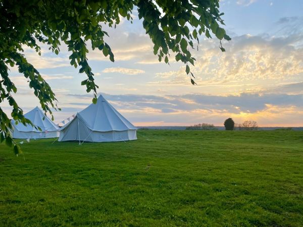 Millview Camping