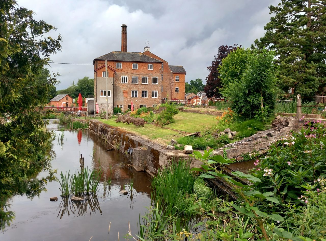 Minnows Touring Park