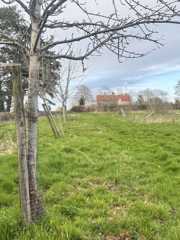 Monarch's Way Campsite