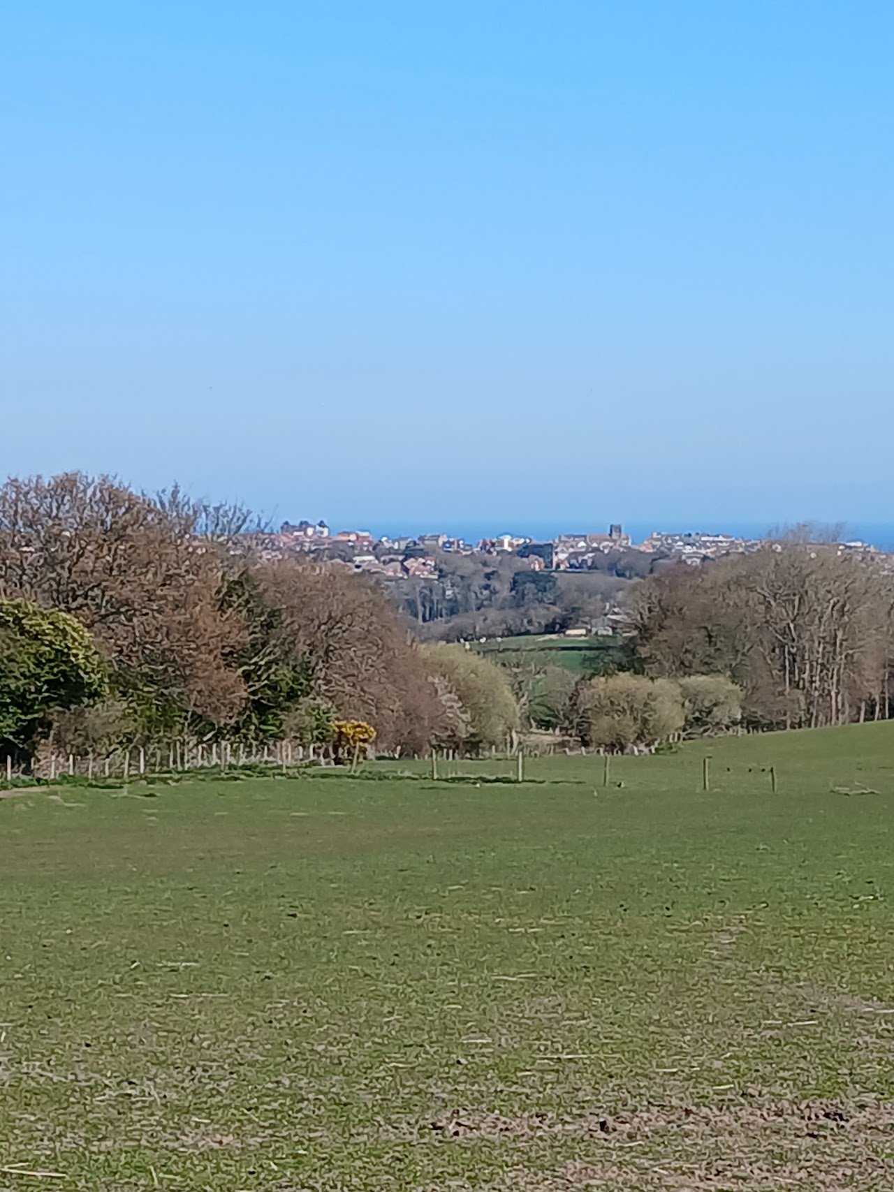 Monk Park