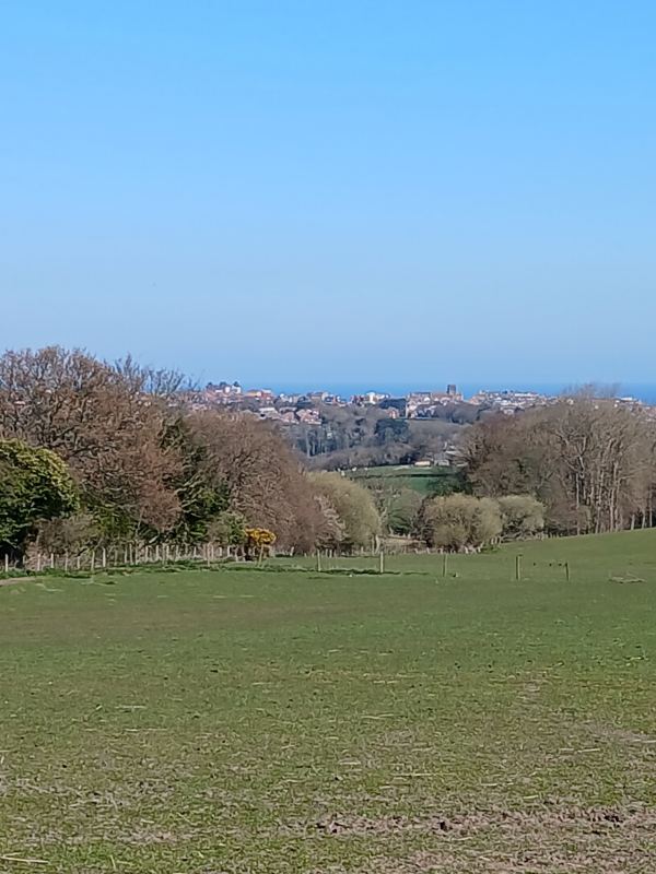 Monk Park