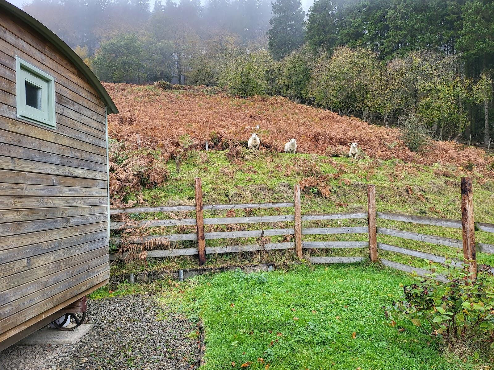 Monstay Farm Campsite