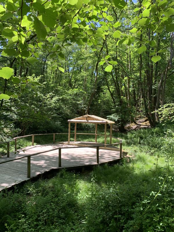 Moonacre Campsite