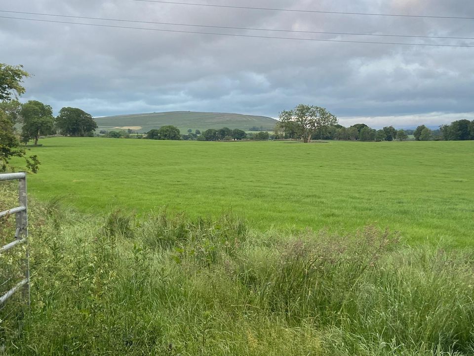 Moor House Farm Camping