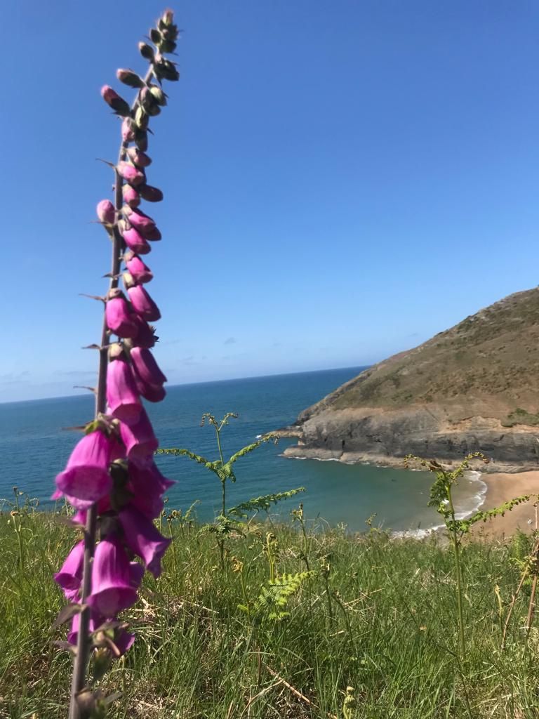 Mwnt Camping