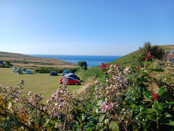 Mynydd Mawr Camping Site