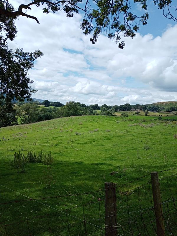 Nant Ucha Farm