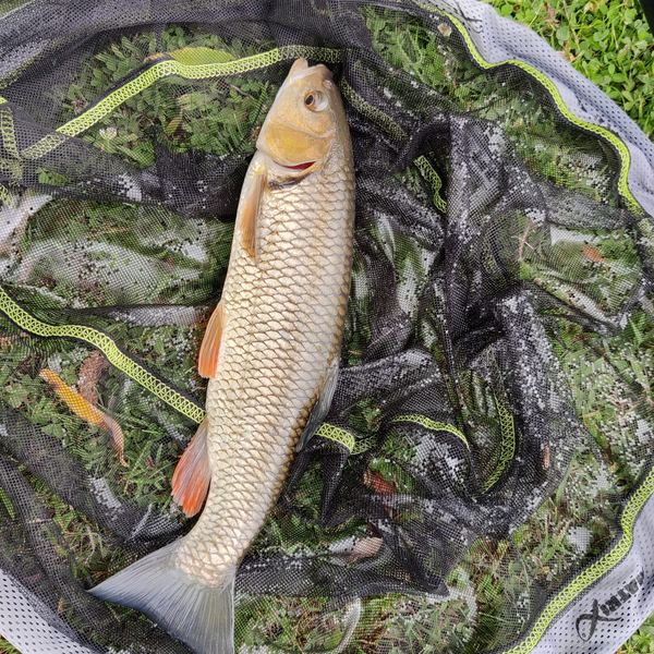 Narborough Fisheries