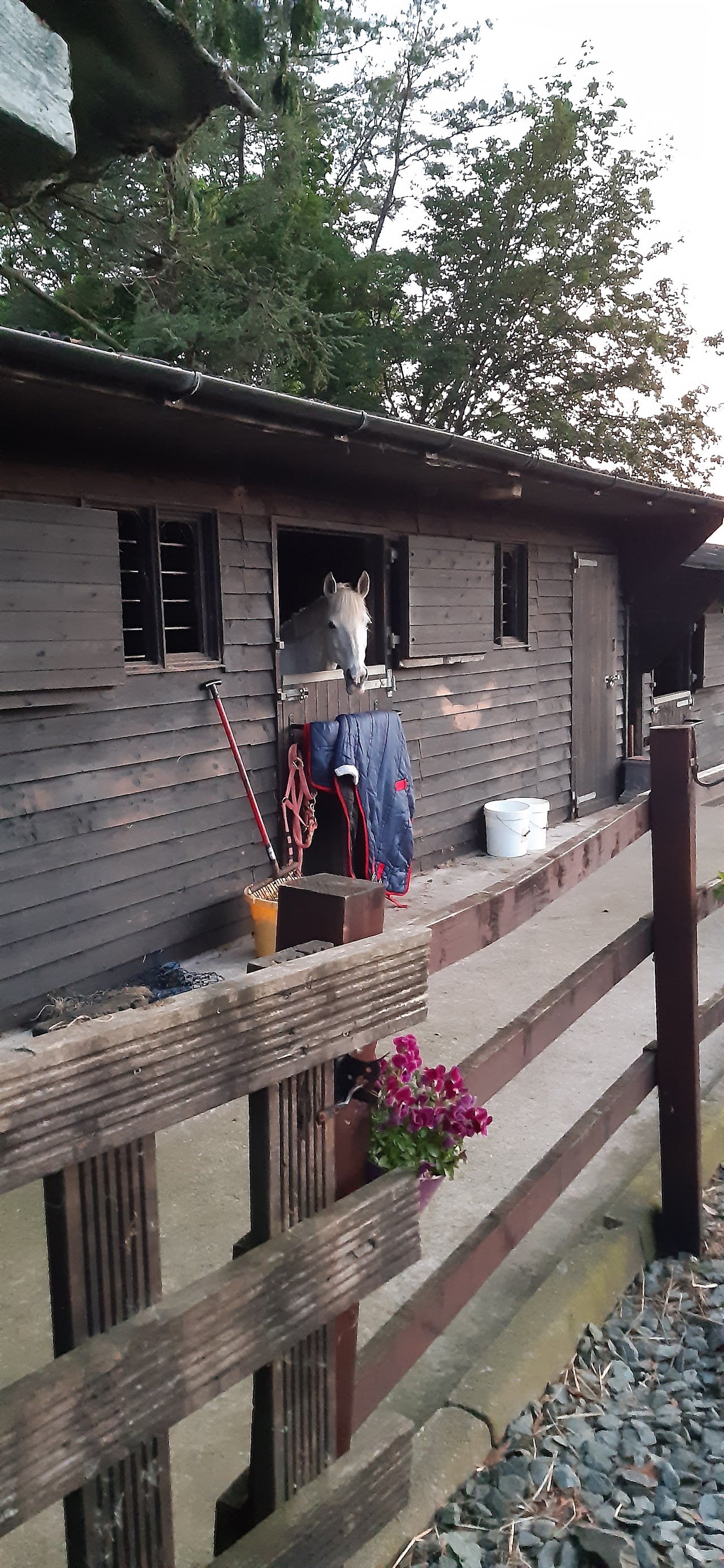 Natland Park Caravan Site