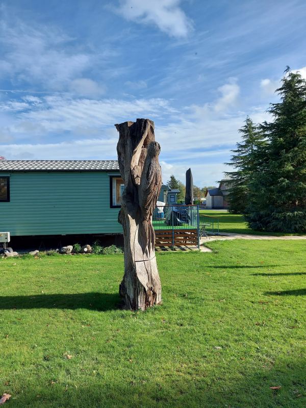 Neuadd Bridge Caravan Park