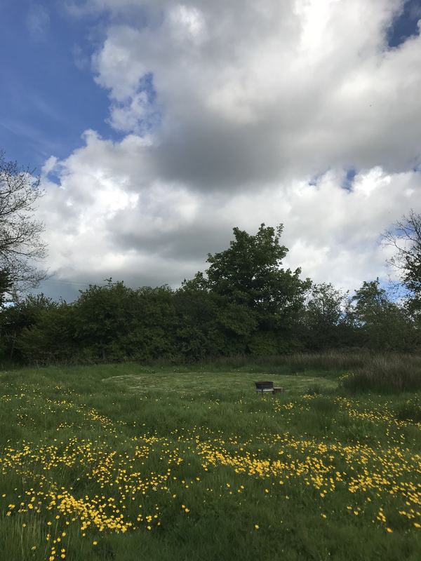 Nevern Camping