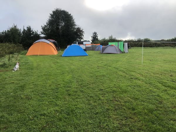 New Court Farm Camping