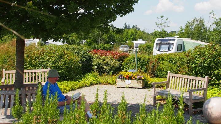 New Forest Centenary Caravan and Motorhome Club Campsite