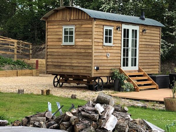 New Forest Glamping