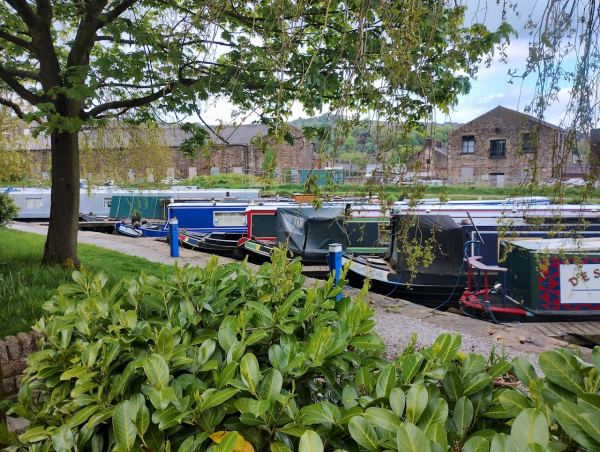 New Mills Marina Campsite (Certificated Location)