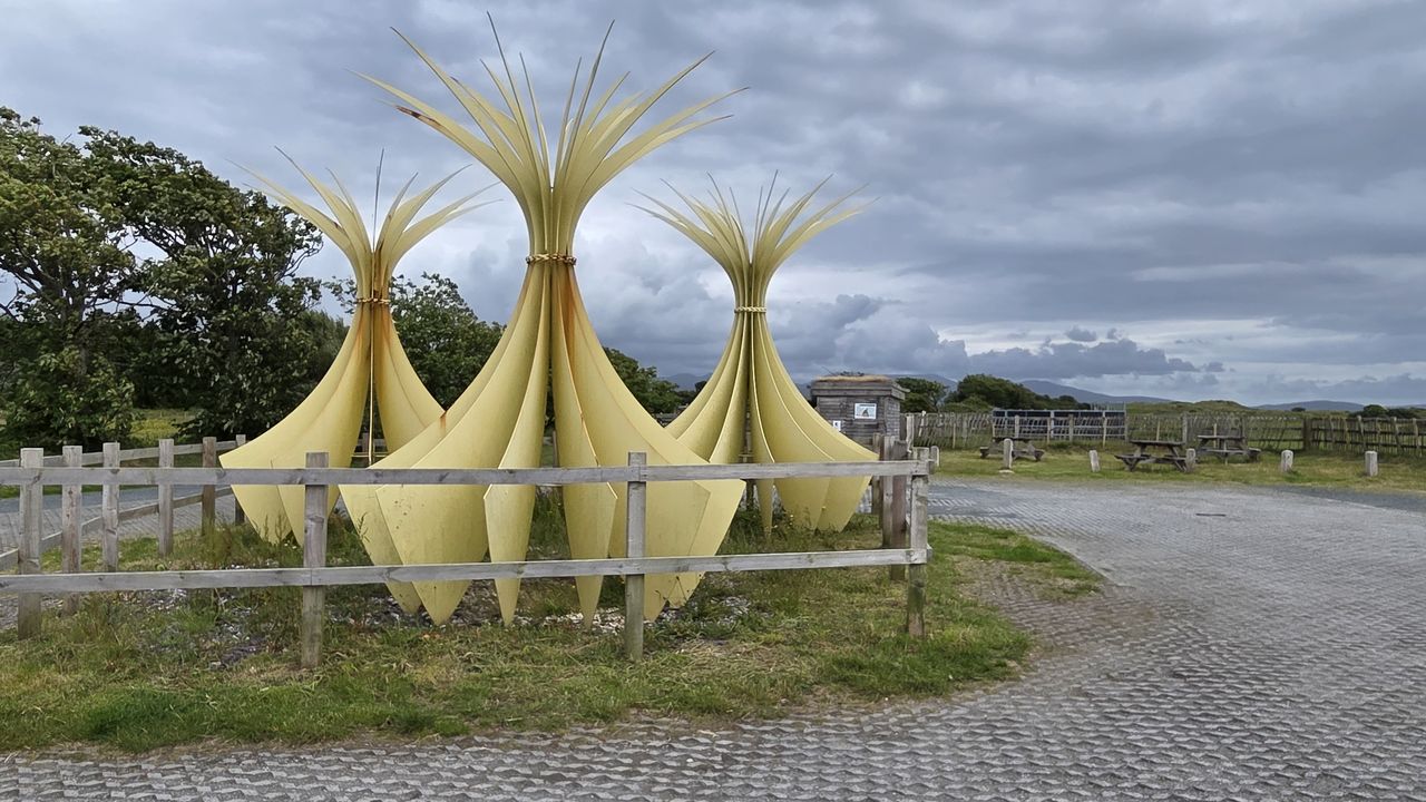 Newborough Forest Holiday Park