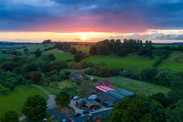 North Down Orchard