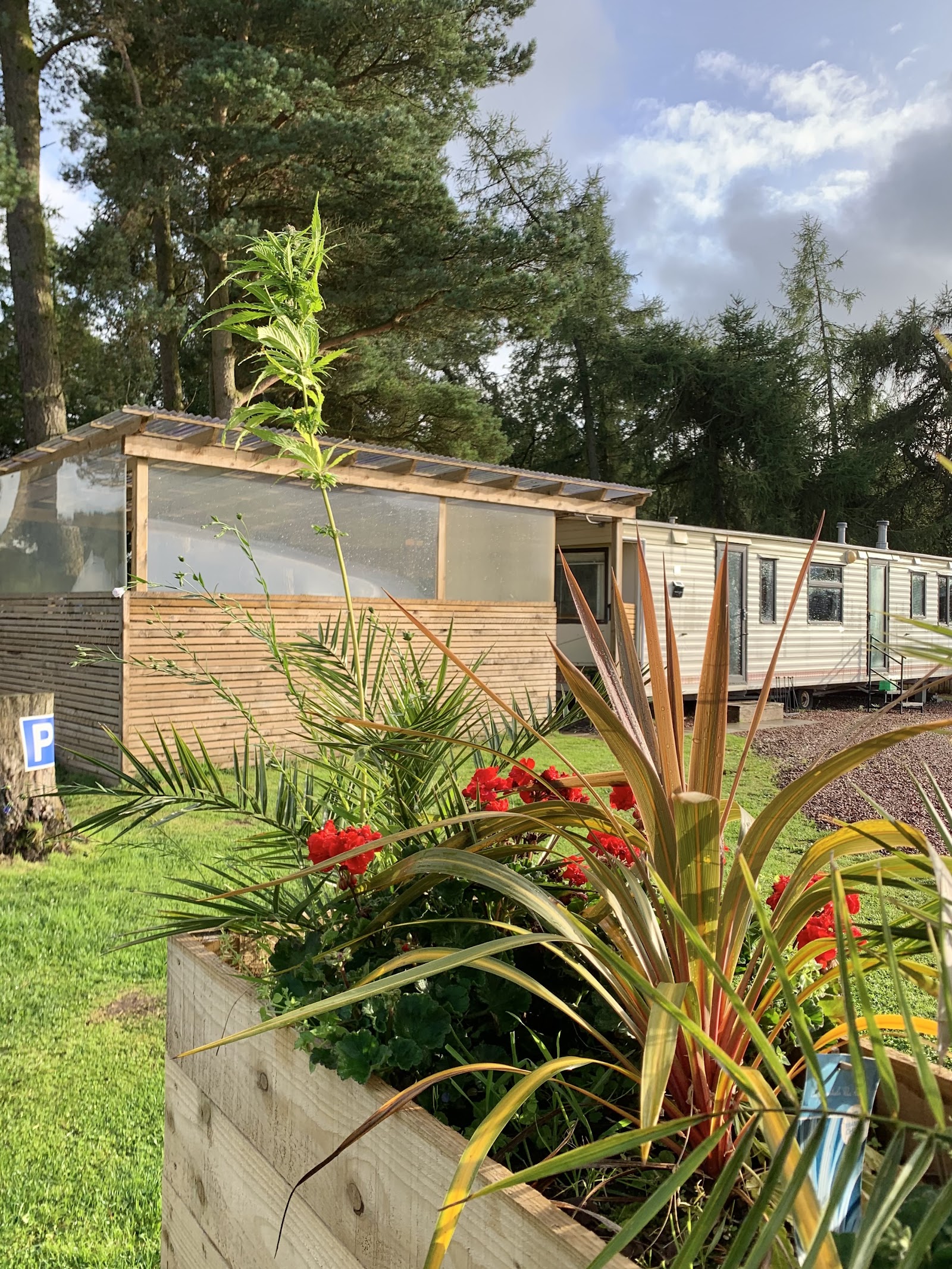 North Lodge Glamping