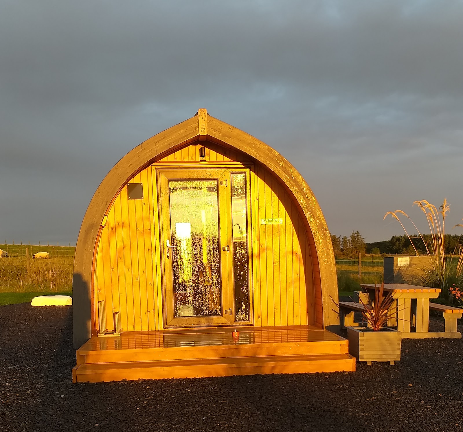 North Star Glamping