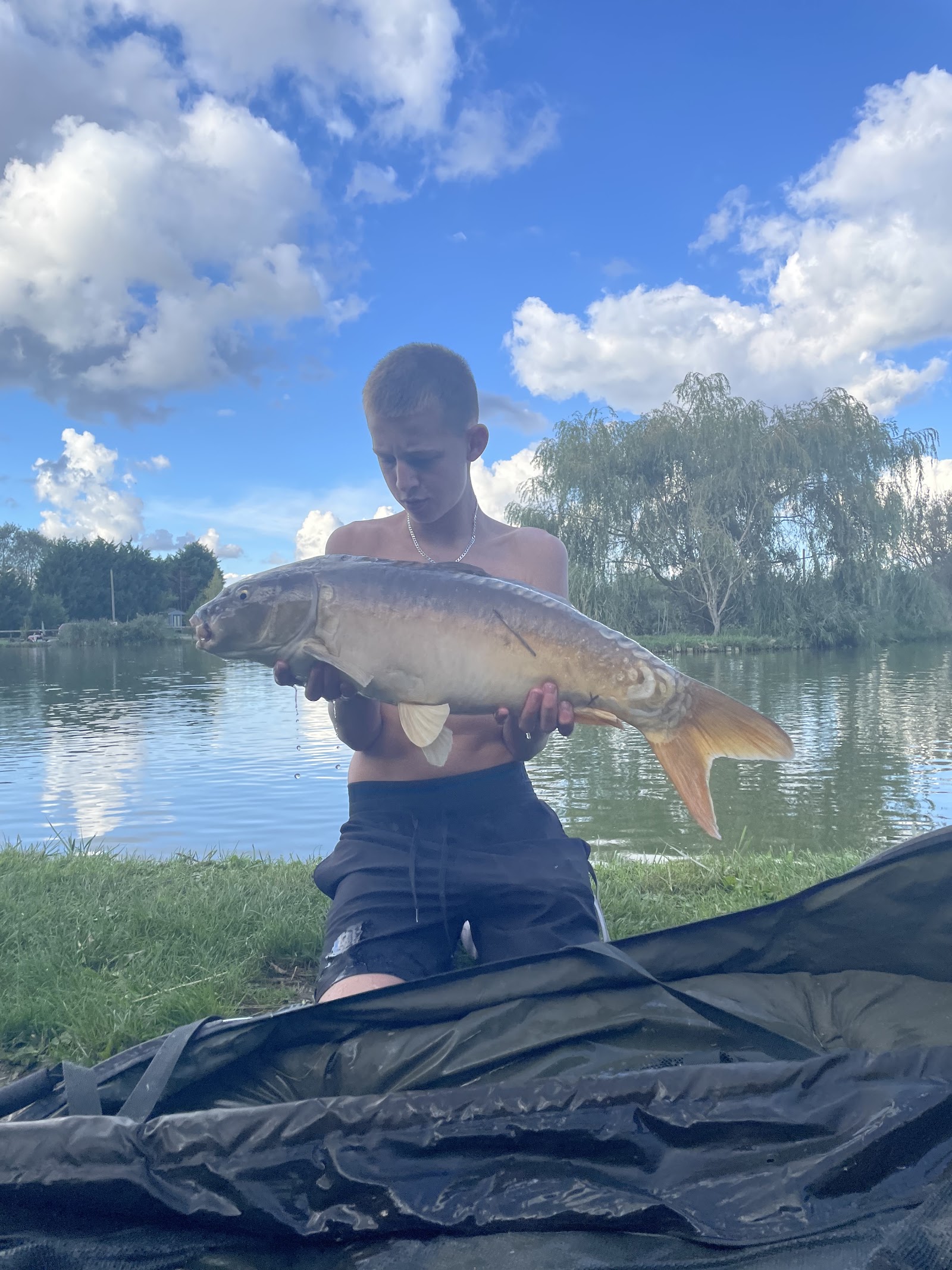 North View Lodges