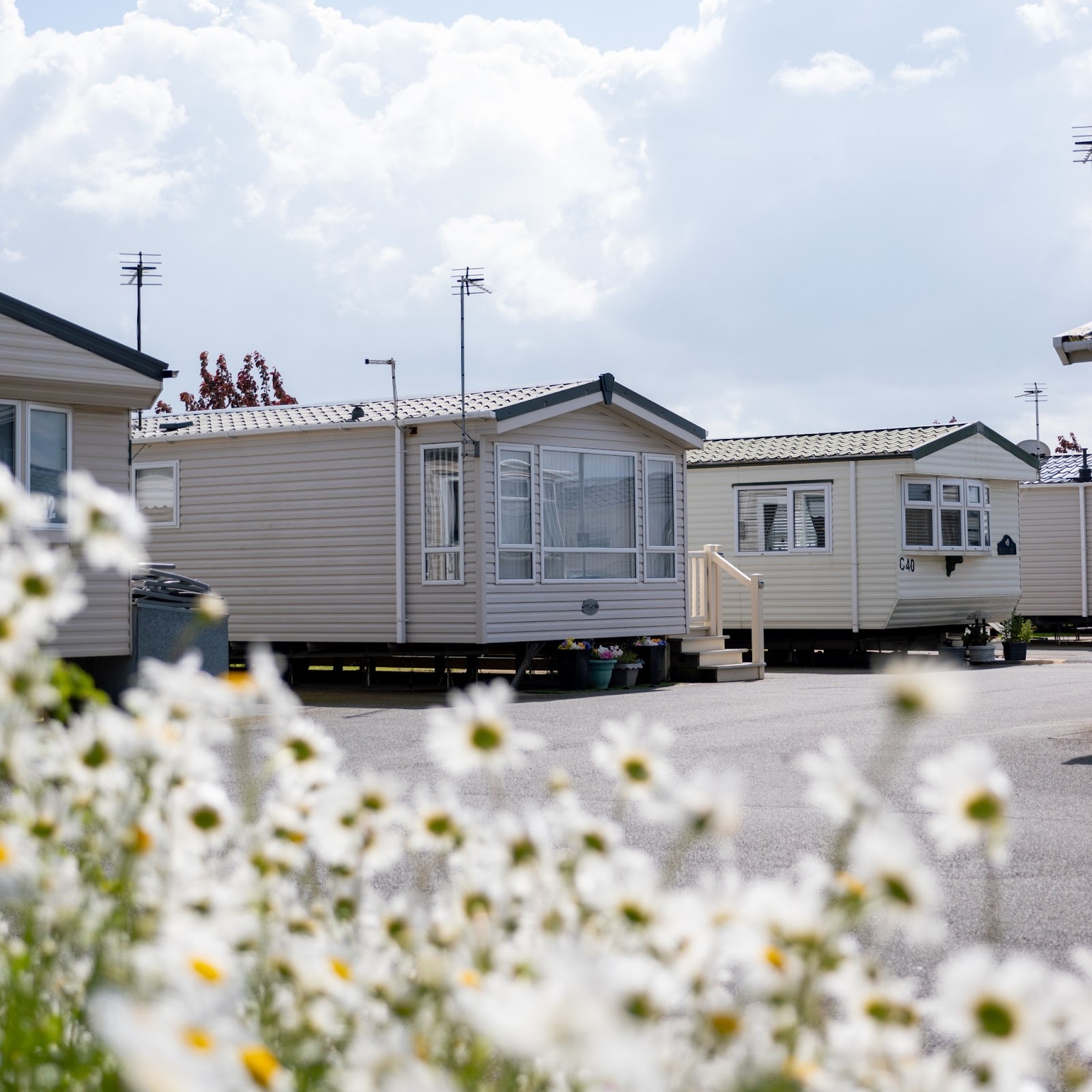 Oakfield Caravan Park