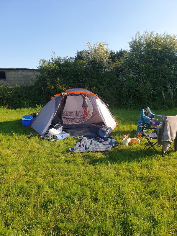 Oakfield Farm Campsite