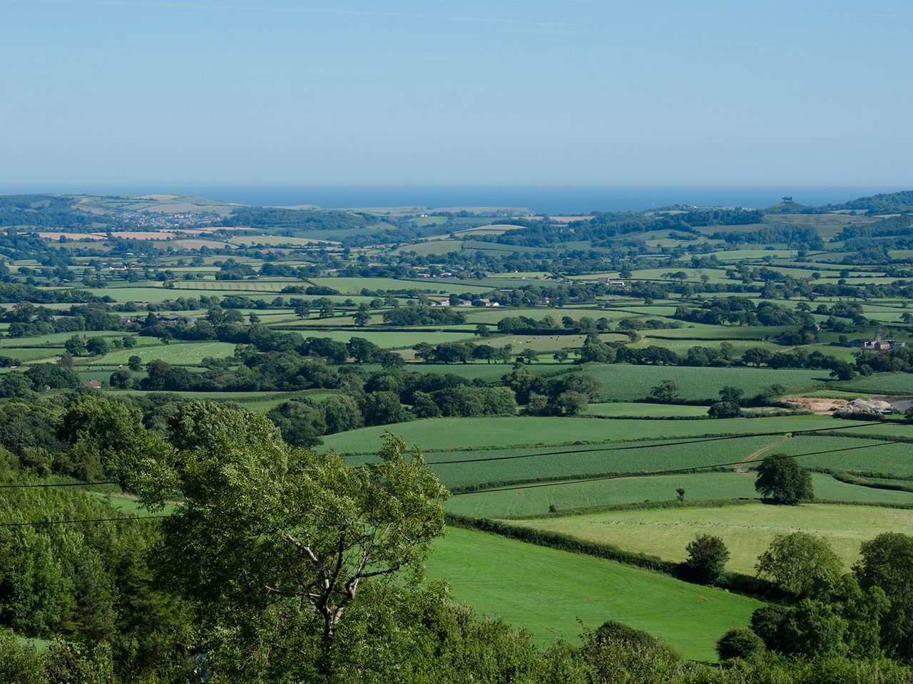 Old Bidlake Farm