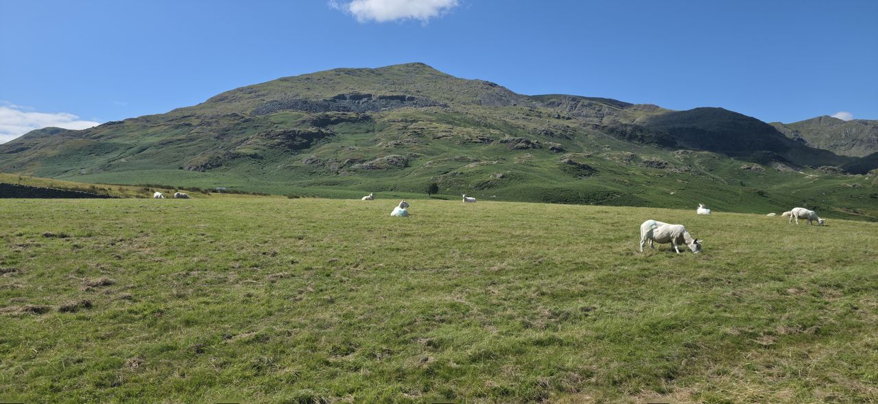 Old Man of Coniston Campsite