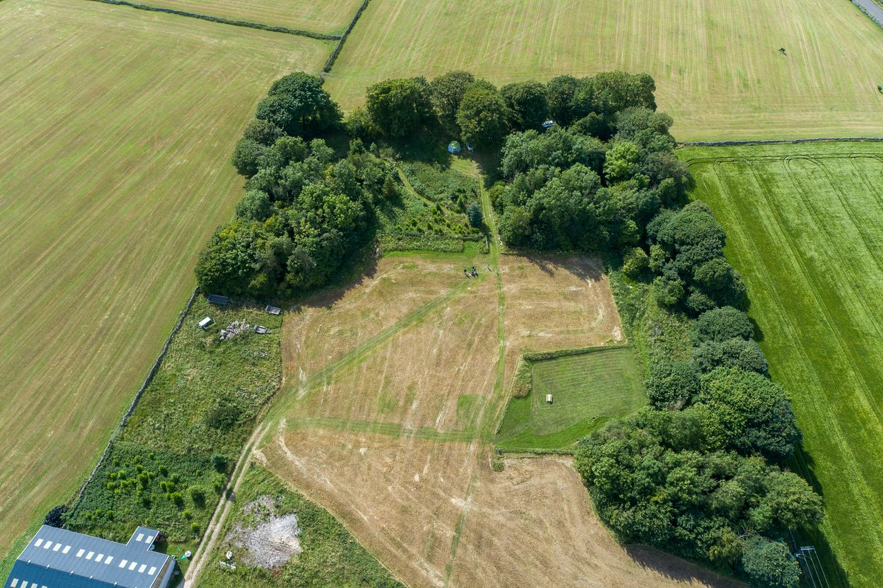 Oldhams Wood