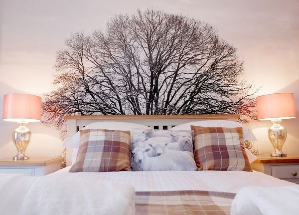 Onnenfawr Glamping