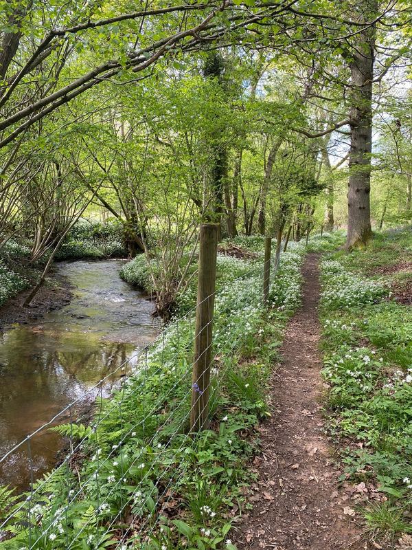 Orchard Holiday Park and Fishery