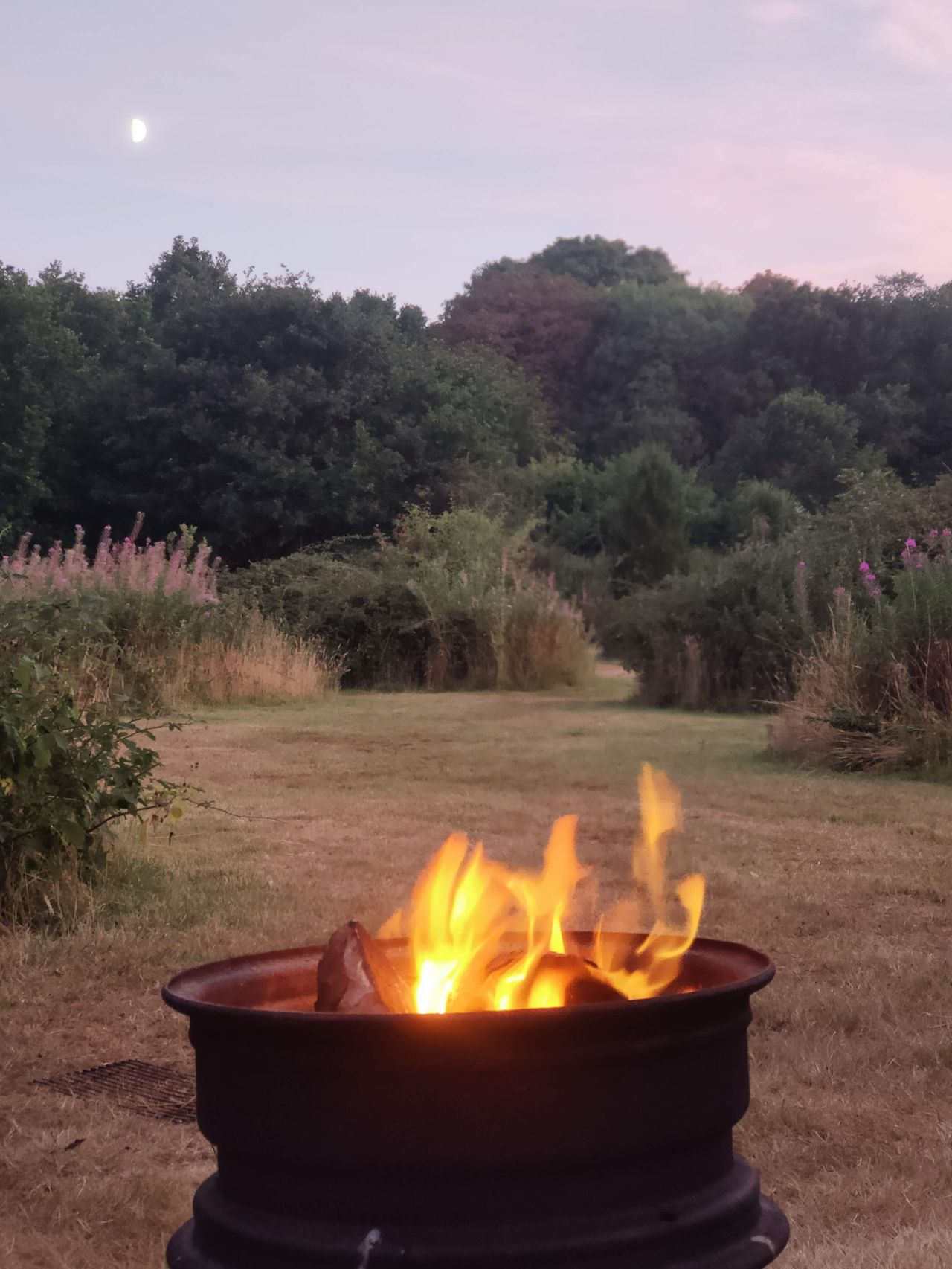 Orchard Wild Camping