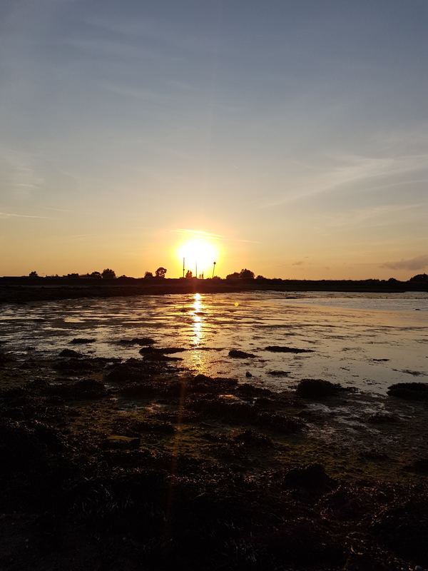 Osea Meadows