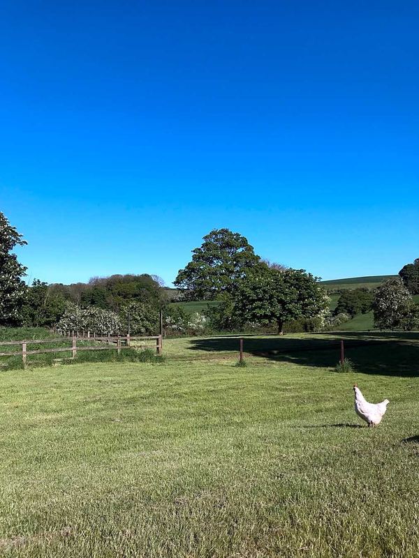 Oxcombe Campsite