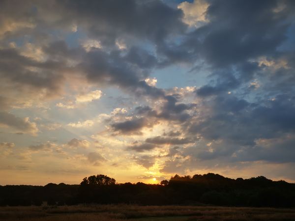 Paddlesworth Court Farm