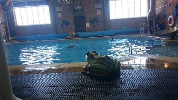 Palins Holiday Park