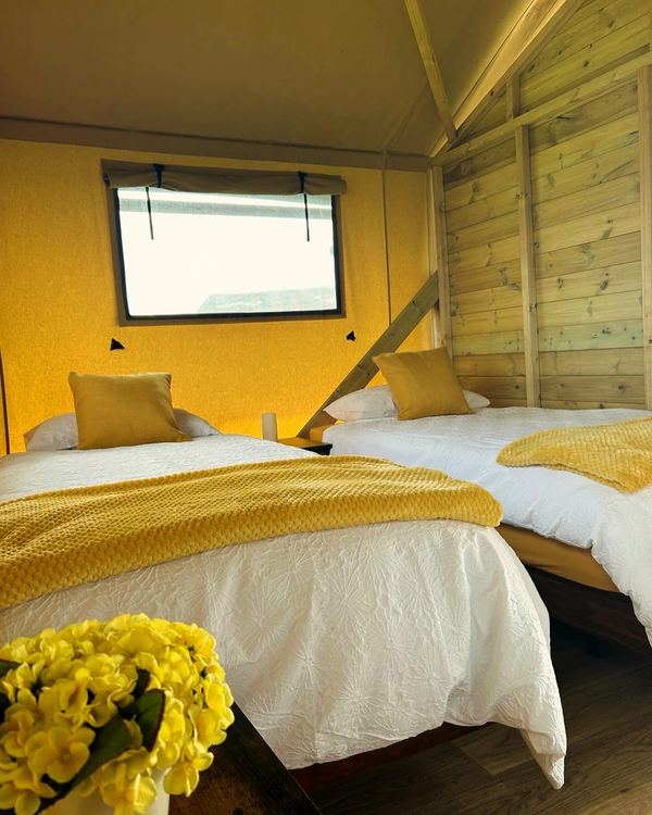 Panoramic Camping and Glamping