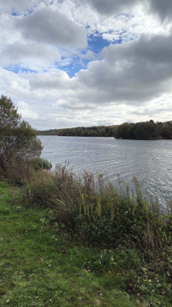 Parc Bryn Bach