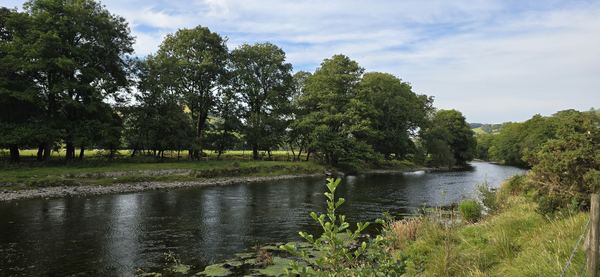 Parc Bryndyfi