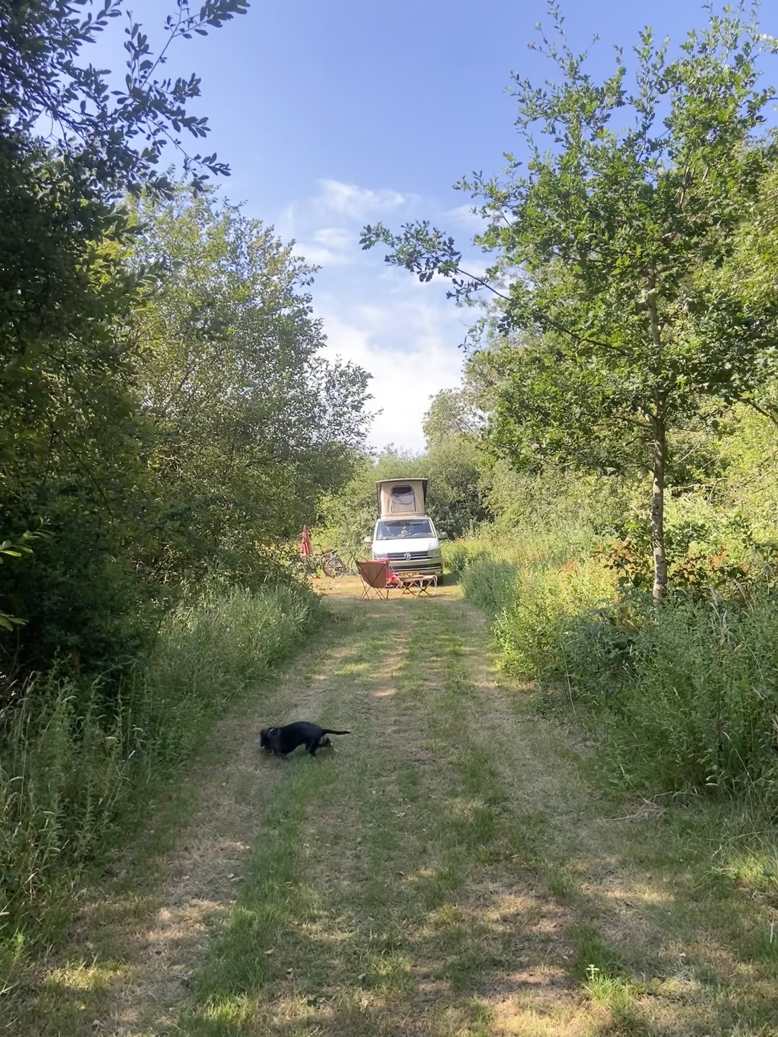 Peacocks Farm Campsite