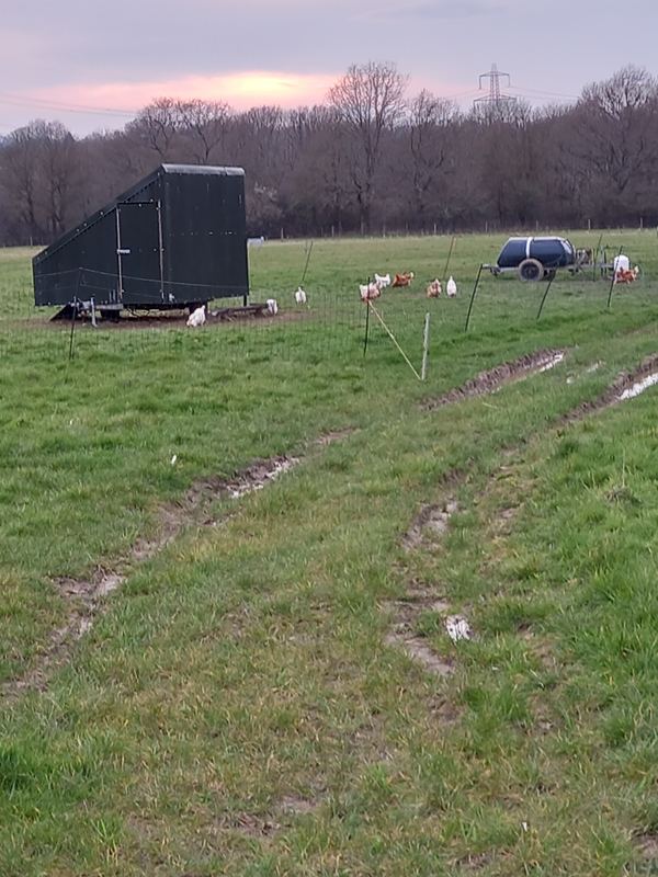 Pear Tree Farm