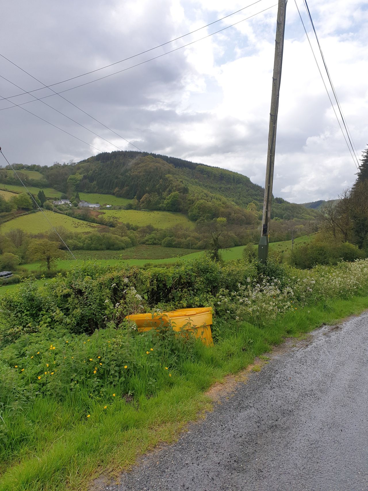 Penbanc Pasture